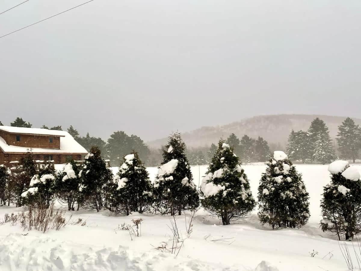 Stunning Log Cabin Getaway At The Hannu Haus 아이언우드 외부 사진